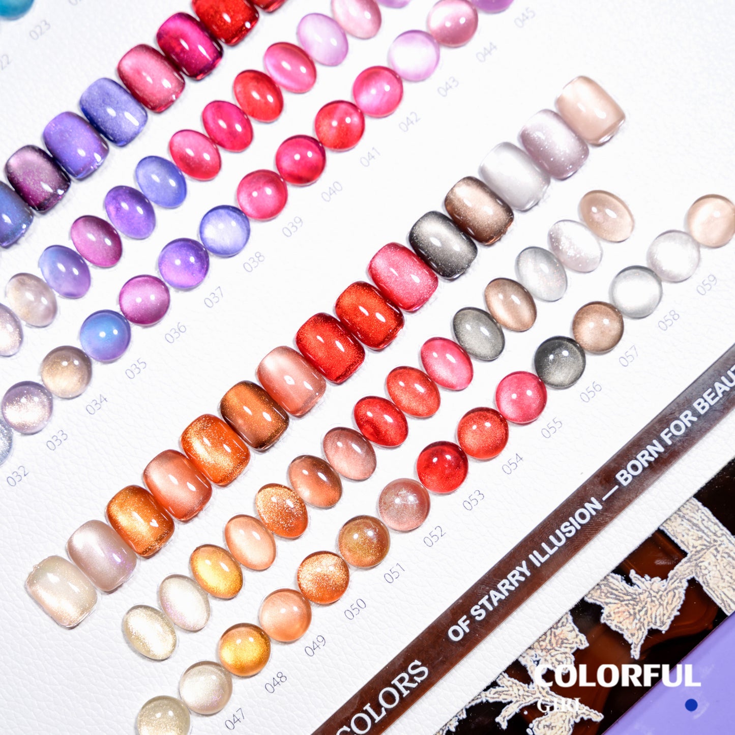COLORFUL GIRL 60 สี ✨ สีเจลแคทอายเนื้อซาติน + สีเจลแคทอายลูกแก้ว  สีสวยแน่นชัด ติดทนนาน ฟรีชาร์ทสี